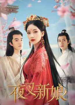 少年泰坦：犹大契约
